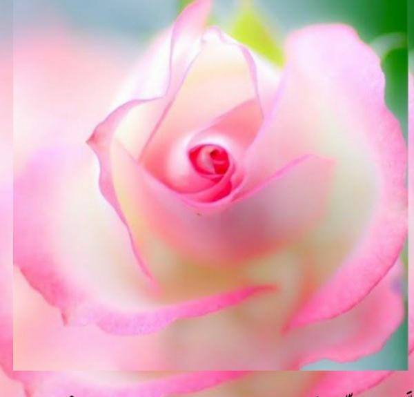 عکس صلوات برای صفحه گوشی