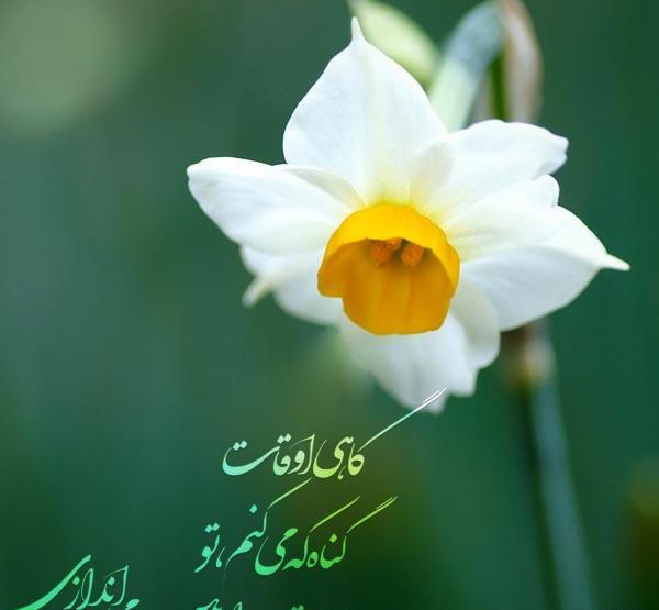 عکس نوشته راجب امام زمان