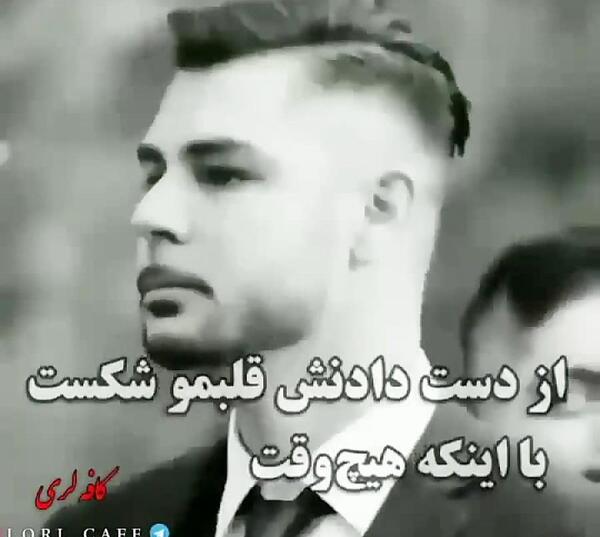 عکس پرنده بهشت