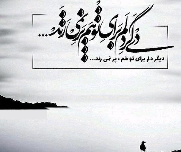 عکس نوشته دانشگاه ازاد