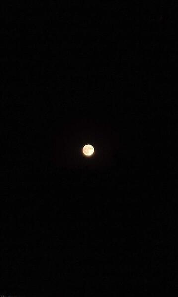عکس نوشته شب عاشوراست امشب کربلا غوغاست امشب