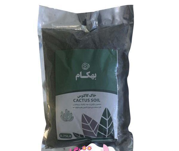 عکس خاک مخصوص بنفشه آفریقایی