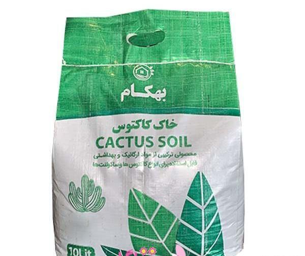 عکس خاک مخصوص بنفشه آفریقایی