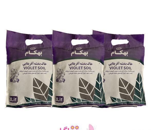 عکس خاک مخصوص بنفشه آفریقایی