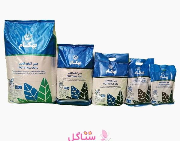 عکس خاک مخصوص بنفشه آفریقایی