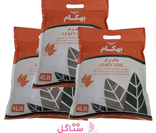 عکس خاک مخصوص بنفشه آفریقایی