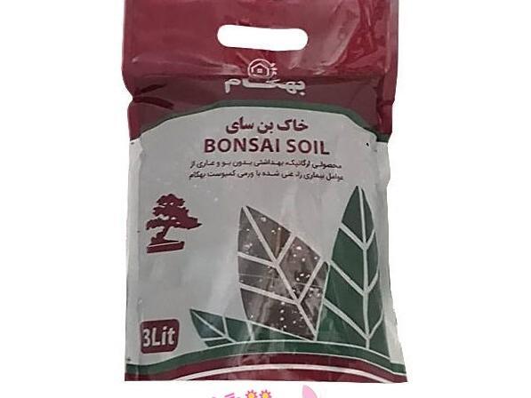 عکس خاک مخصوص بنفشه آفریقایی