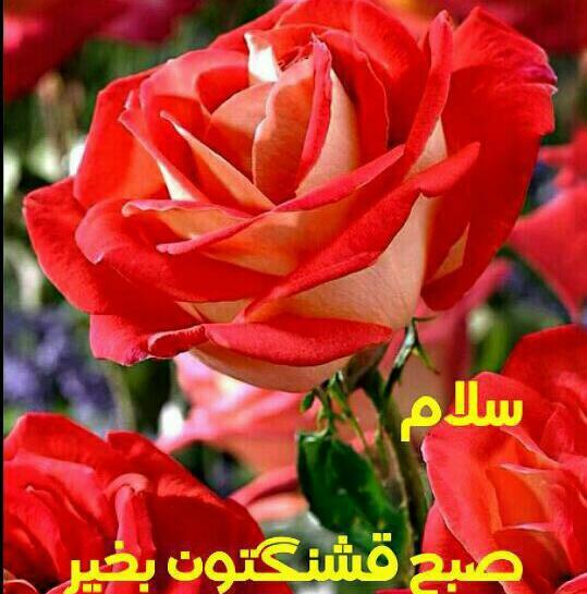 عکس صبح بخیر سه شنبه