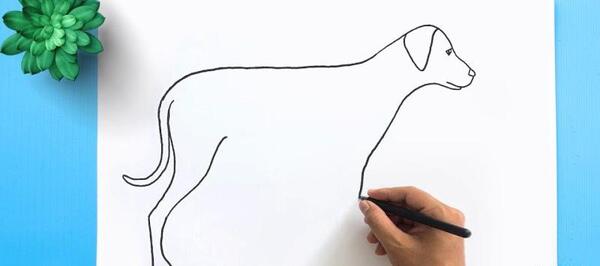 عکس نقاشی ساده ی سگ
