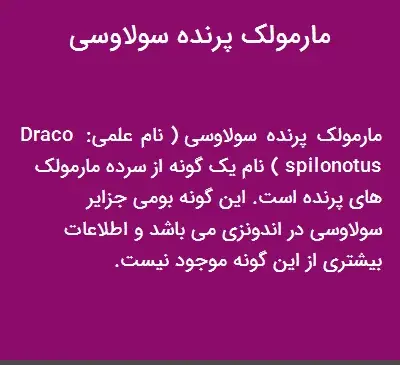 عکس مارمولک پرنده