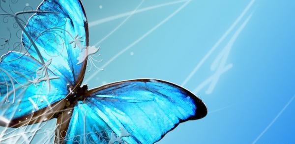 عکس پروانه برای پس زمینه