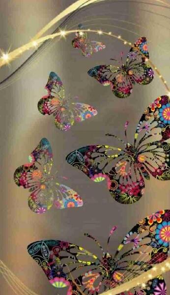 عکس پروانه برای پس زمینه