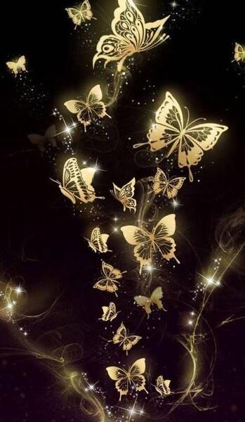 عکس پروانه برای پس زمینه