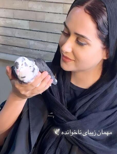 پریناز ایزدیار عکس آشپزی