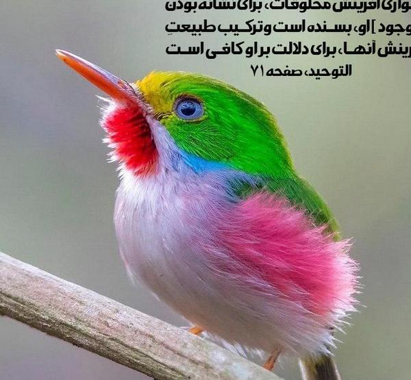 عکس نوشته خدا طبیعت