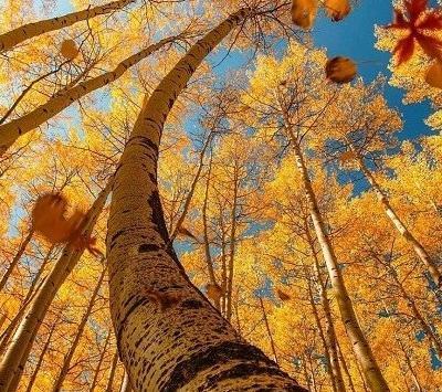 عکس نوشته خدا طبیعت