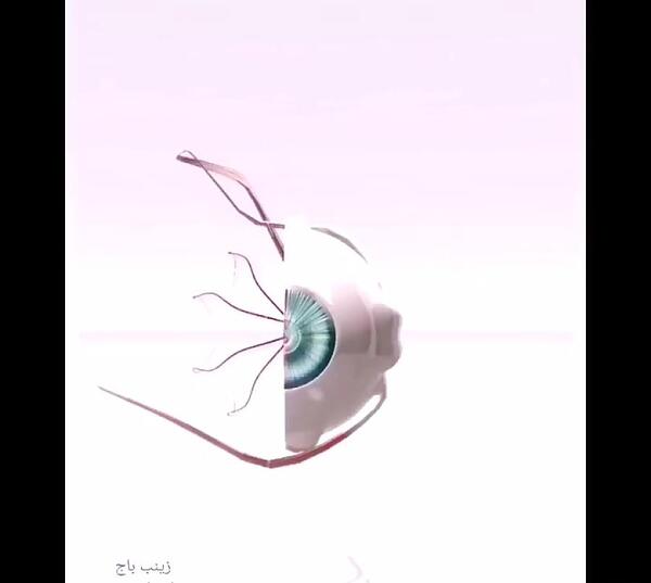 عکس ساختمان چشم کلاس پنجم