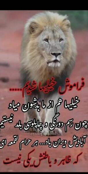 عکس نوشته ذات بد نیکو نگردد چون ک بنیادش بد است