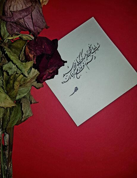عکس نوشته از کتاب دنیای سوفی