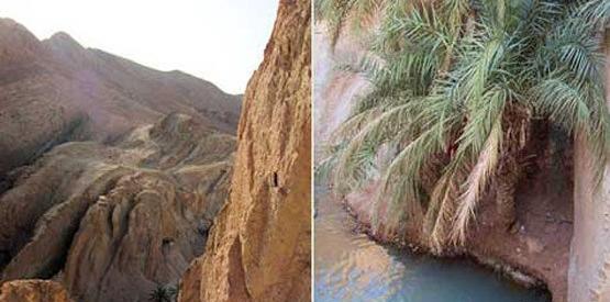عکس بهشت کوچک