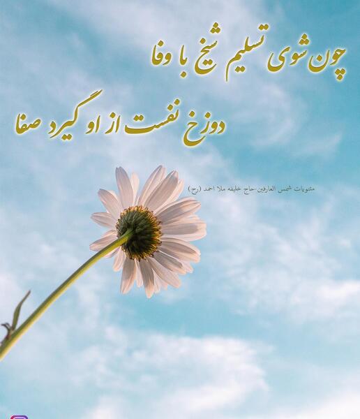 عکس پیر طریقت