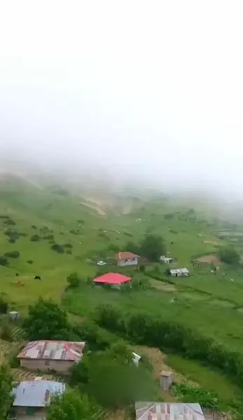 عکس های فرزندان شهید سلیمانی