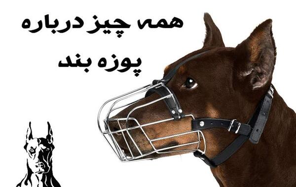 عکس پوزه بند انسان