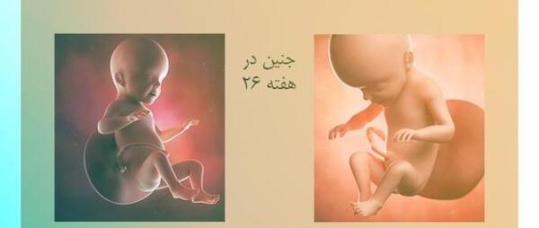 عکس صابون تریاک کلاژن طلا نی نی سایت