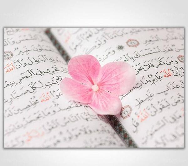 عکس سه بعدی صورتی