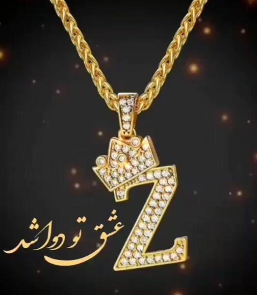 فیلم عکس z