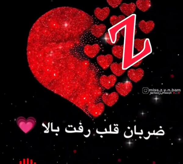 فیلم عکس z