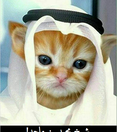 عکس پروفایل لات و لوت