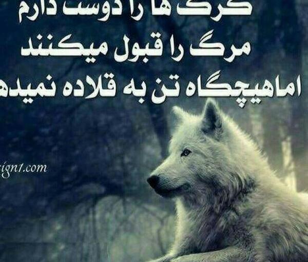 عکس پروفایل لات و لوت