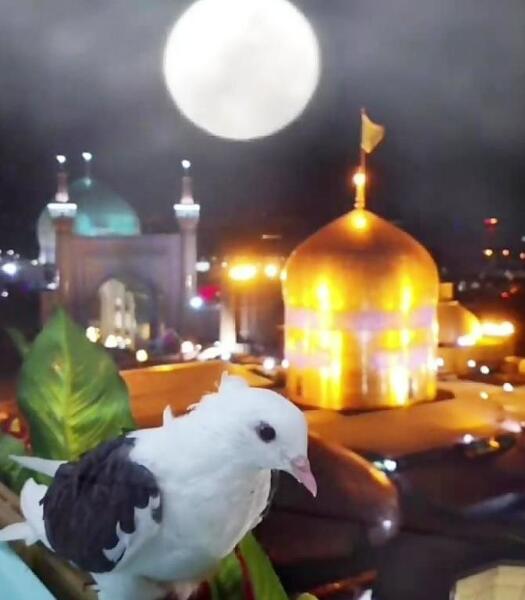 عکس حرم صحن انقلاب
