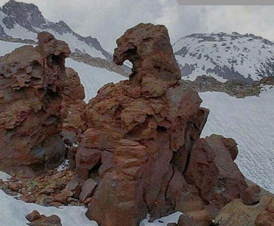 عکس عقاب روی کوه