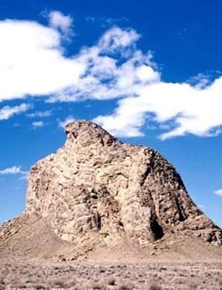 عکس عقاب روی کوه