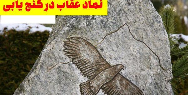 عکس عقاب روی کوه