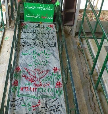 عکس مادر شهید پلارک