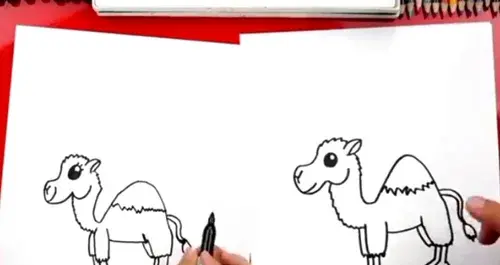 عکس شتر ساده