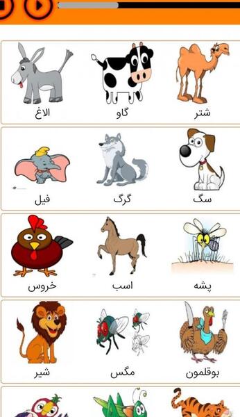 عکس ترسناک ترین خرگوش دنیا