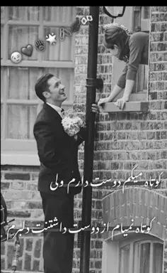 عکس پافر کوتاه زنانه