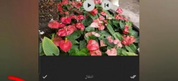 عکس روز و شب کنار هم