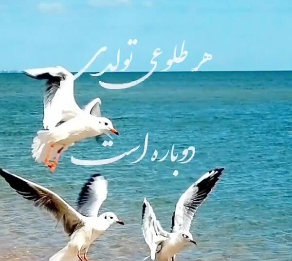 عکس سلام ظهر بخیر زیبا