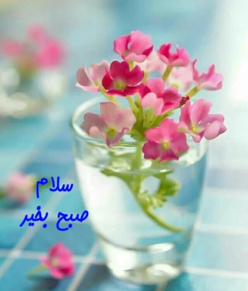 عکس سلام صبح بخیر ماه رمضان