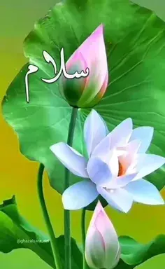 عکس سلام صبح بخیر ماه رمضان