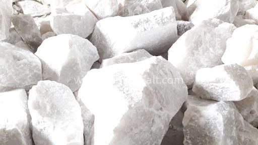 عکس کانی هالیت