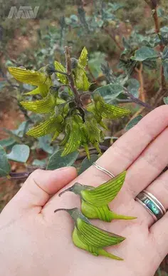عکس توی فاضلاب