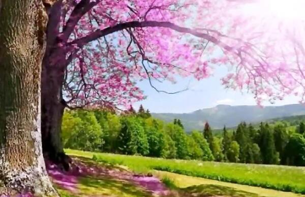 عکس آقای وکیلی