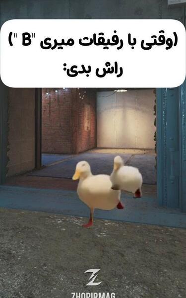 عکس میم حبیب