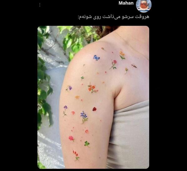 عکس میم حبیب